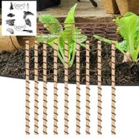 Electroculture Plant Stakes 12 Inch Electroculture Copper Rods Probe 10 Chiếc Dây Đồng Dài Dụng Cụ Làm Vườn Cọc Đồng