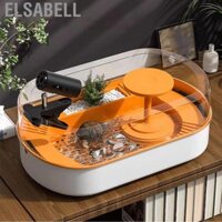 Elsabell Bể rùa với lọc thoát nước an toàn dễ dàng để quan sát bể cá đối với cua cá do loài động vật lưỡng cư