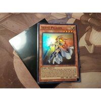 [EN] Silent Paladin - Ultra Rare - 1st Edition- DPRP-EN003