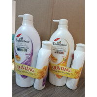 Enchanteur - Dầu Gội 650g + tặng chai tắm 150g -(màu tím hoặc vàng)