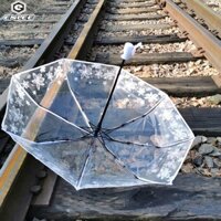 Enlee Dù Gấp Tự Động Trong Suốt Màu Trắng Sáng Tạo Cho Nữ Sinh