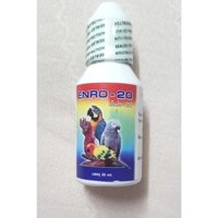 Enro - 20 phòng, trị bệnh cho chim cảnh