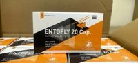 ENTOFLY 20 Cap (Esomeprazole 20mg) Pharbaco | Thuốc Dạ Dày Giá Sỉ