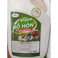 Enzym  bồ hòn