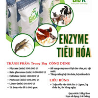 ENZYME TIÊU HÓA  (TIÊU HÓA TỐT, MIỄN DỊCH KHỎE ) BAO 5KG