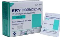 Erythromycin 250mg, chống nhiễm khuẩn, điều trị nhiễm khuẩn