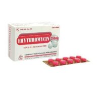 Erythromycin 250mg vỉ 10v Armephaco
