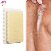 Esquirla Body Chà Bàn Chải Massage Tiện Ích Thân Thiện Với Da Dễ Dàng Lắp Đặt Nylon Lớn