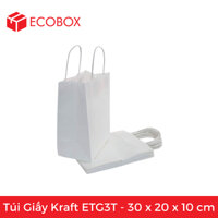 ETG3T - 30x20x10 cm - Túi Giấy Kraft Màu Trắng (25 túi)