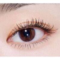 [Etude HOUSE] Etude curl fix mascara chống thấm nước màu nâu đen 8g