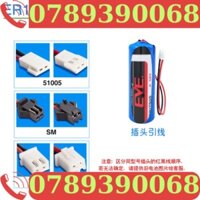 Eve Yiwei Er17505 Pin Lithium 3.6v Đồng Hồ Nước Thông Minh IoT Lưu Lượng Kế PLC Máy Công Cụ CNC Điều Khiển Công Nghiệp