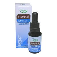 Evergreen Bee Propolis Extract Oral Spray Pfl15 (30ml)