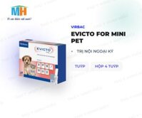 Evicto Rabbit Evicto, nơi bán giá rẻ, uy tín, chất lượng nhất | Websosanh