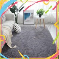 EW4 JDGH Bỏ sỉ Thảm Lông Trải Sàn Trang Trí - Thảm 1m2 Đến 2m3 44 EW