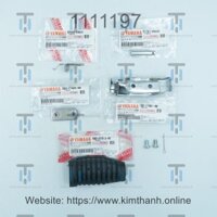 Ex11-Cao su gác chân trước R - đầy đủ