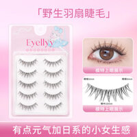 Eyelllyy Siêu Nhiên Thái Lông Vũ Quạt Mô Phỏng Cổ Tích Tự Nhiên Trong Suốt Một Mảnh Người Mới Ác Quỷ Cứng Terrier Lông Mi