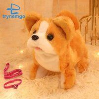 F Baby Electric Dog Toy Set That Walks Barks Tail Wagging Sang Trọng Tương Tác Điện Tử Thú Cưng Con Chó Con Bộ Đồ Chơi Bộ Cho Bé Gái Bé Trai Sinh Nhật