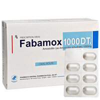 Fabamox 1000 DT, Điều trị viêm tai giữa, xoang, áp xe, Helicobacter pylori