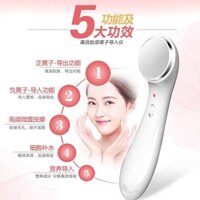 Facial Detoxification Beauty Instrument Essence Inductive Therapeutical Instrument Household Vibration Massage Whitening Freckle Removal Face Export Facial Cleansing Machine Y9fo