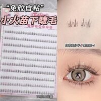 FAICCIA Feixi không keo Đôi Chùm lửa nhỏ Lông mi giả lông mi nữ tự nhiên mô phỏng trong suốt không keo