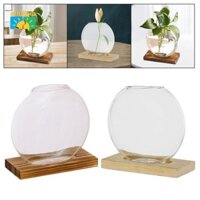 FAKEME Chulisia Bình Hoa Quà Tặng Sinh Nhật Thủy Tinh Trồng Cây Terrarium Cây Cho Cây Trong Nhà Làm Vườn Vườn Văn Phòng Tại Nhà