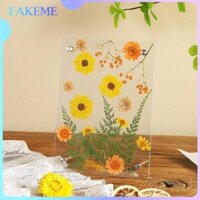 Fakeme Trong Suốt Acrylic Khung Ảnh Khung Hoa Khô Trang Trí Nhà Cửa Quà Tặng Không Khung 6 inch Có Chân Đế Giá Đỡ Ảnh Khung Ảnh