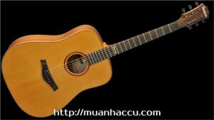 Đàn Guitar Famosa Acoustic FD425C