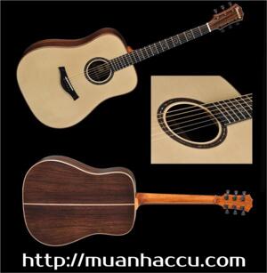 Đàn Guitar Famosa Acoustic FD685S