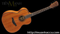 Famosa Acoustic Guitar FF10