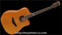 Famosa Acoustic Guitar FD425CU