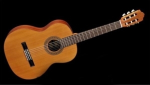 Đàn Guitar Famosa Classic FC20C (FC 20C)