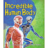 Fast Facts Incredible Human Body