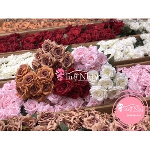 Đồng hồ nam Orient FDB08005W0