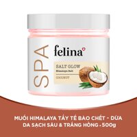Felina Muối Tắm Felina Salt Coconut Tẩy Tế Bào Da Chiết Xuất Dừa 500g