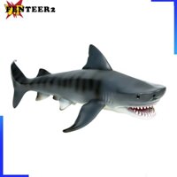 [Fenteer2] Nhân vật hành động cá mập Mô hình thu nhỏ Đồ chơi giáo dục Quà tặng