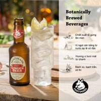 Fentimans Tonic Nước Thảo Mộc Vị Bia Gừng Ginger Beer Anh Quốc