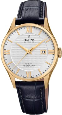 Festina Men's Stainless Steel Quartz Watch with Leather Strap, Black, 20 (Model: F20010/2)