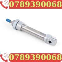 Festo Festo Xi Lanh Dsnu/ESNU-12-16-20-10-25-32-40-50-80-100-P-A