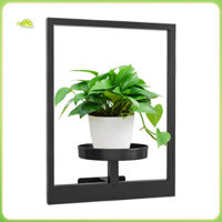 Fianao Giá đỡ cây trồng trong nhà Khung cây treo tường bằng kim loại hiện đại Giá đỡ cây treo tường cho văn phòng tại nhà Phòng khách Giá treo tường hạng nặng cho cây trồng