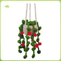 Fianao Gương Chiếu Hậu Treo Trang Trí Cây Treo Mặt Dây Chuyền Handmade Móc Chậu Cây Treo Trang Trí Cho Gia Đình Và Ô Tô Đông Nam Á Người Mua Yêu Thích