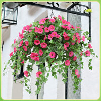 Fianao Thực Tế Giả Buổi Sáng Vinh Quang Không Tưới Cây Tươi Giữ Treo Tường Giả Hoa Lụa Trang Trí Nhà