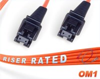 FiberCablesDirect - 80M OM1 MTRJ MTRJ Fiber Patch Cable | 1/10G Duplex 62.5/125 MTRJ to MTRJ Multimode Jumper 80 Meter (262.46ft) | Length Options:...