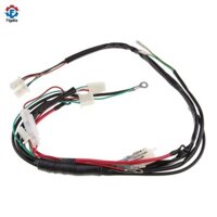 Figatia Dây Dây Dây Loom Kill Switch CDI Cuộn Dây Đánh Lửa Xây Dựng Lại Cho 50cc 70cc