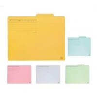File bìa giấy Plus- 061IF