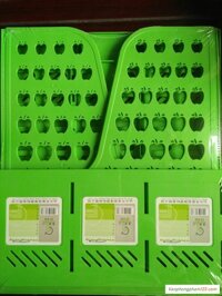 File nan 3 ngăn xanh lá