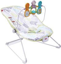 Fisher-Price Baby's Bouncer