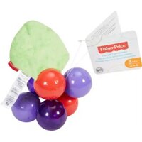 Fisher Price Do choi luc lac qua nho Fisher Price DRD83