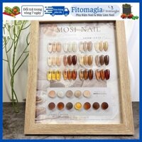 FITOMAGIA PHỤ KIỆN NAIL & MI KẸO MẠCH NHA- Set 12 sơn thạch Mosi + Tặng Bảng Màu FITOMAGIA PHỤ KIỆN NAIL & MI