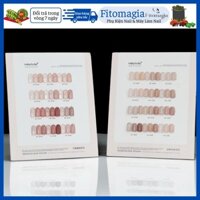 FITOMAGIA PHỤ KIỆN NAIL & MI Set Sơn Thạch 12 Màu MINAYIN