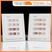 Fitomagia03 Set Sơn Thạch 12 Màu MINAYIN trendy tôn da tay